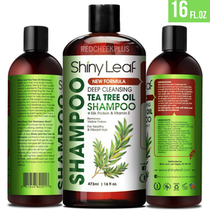 Tea Tree Oil Shampoo Hyaluronic Acid Anti Dandruff Fungal Lice