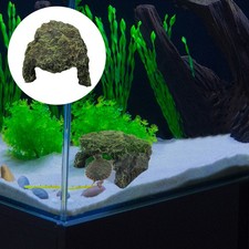مقتنيات Resin Reptile