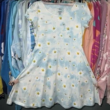 Disney x Loungefly Winnie the Pooh sky & flowers skater dress M