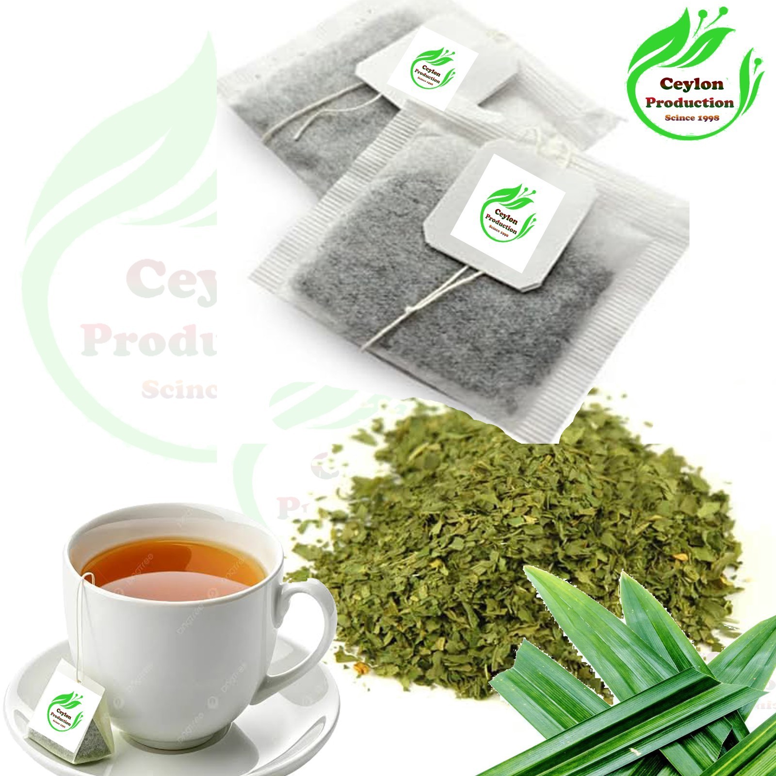 Pandan Blätter Teebeutel Bio Pandanu amaryllifolius Schraubenkiefer Kraut