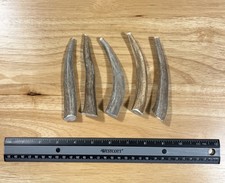 SMALL Elk/Deer Antler Natural Dog Chew. 3Pack ANTLER TREATS