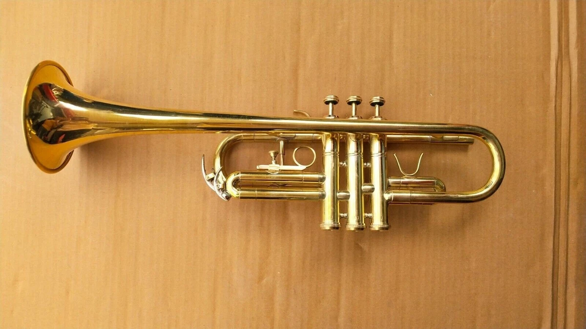 Brass trumpet price outlet