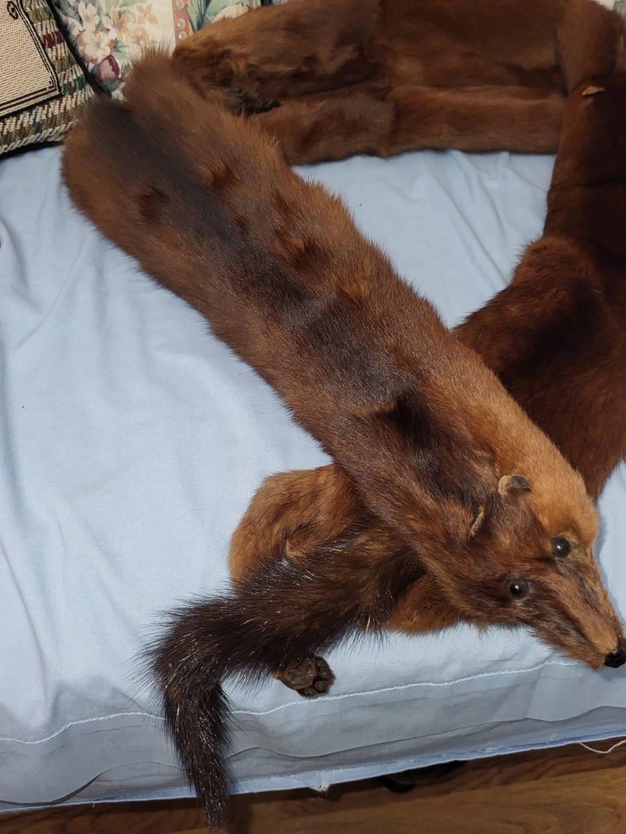 Vintage 4 Mink Fur Stole Pelts Scarfs Heads Full Body Taxidermy