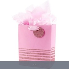 9" Medium Gift Bag Pink Glitter Stripes with Tissue Paper Valentines Included