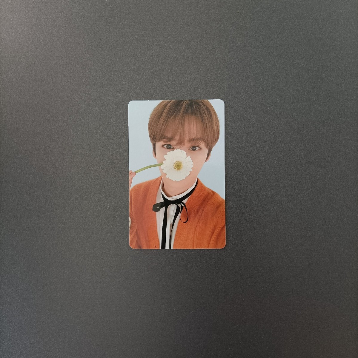 Stray Kids Card StrayKids nac Nacific Christmas Box Lee Know Lee