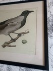 Picture 18 of 22