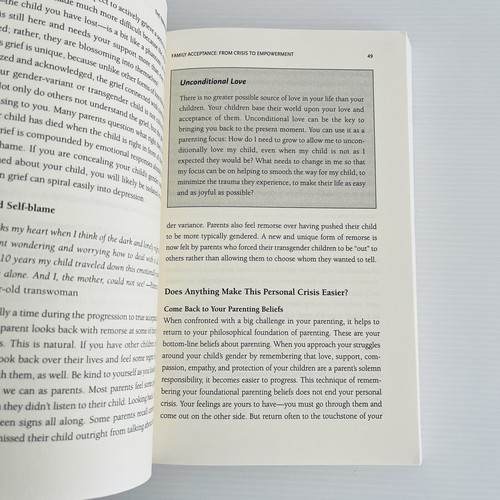 The Transgender Child Guidebook by Stephanie Brill & Rachel Pepper LGBTQIA - Picture 11 of 12
