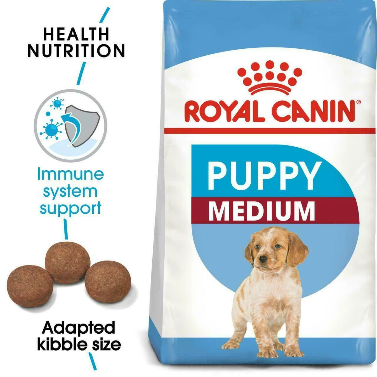 Food for clearance 4 month puppy
