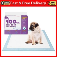 22"x22" Super-Absorbent Waterproof Dog and Puppy Pet Training Pad, 100-Count