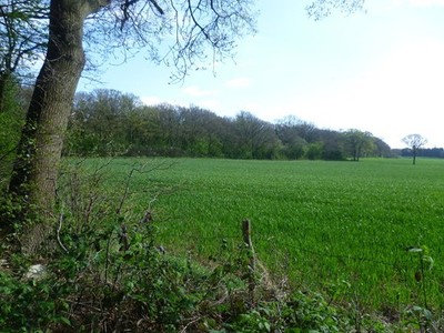 Foto A2 Blick Richtung Crofton Heath Orpington Diese Ansicht ist von einem Foo c2014