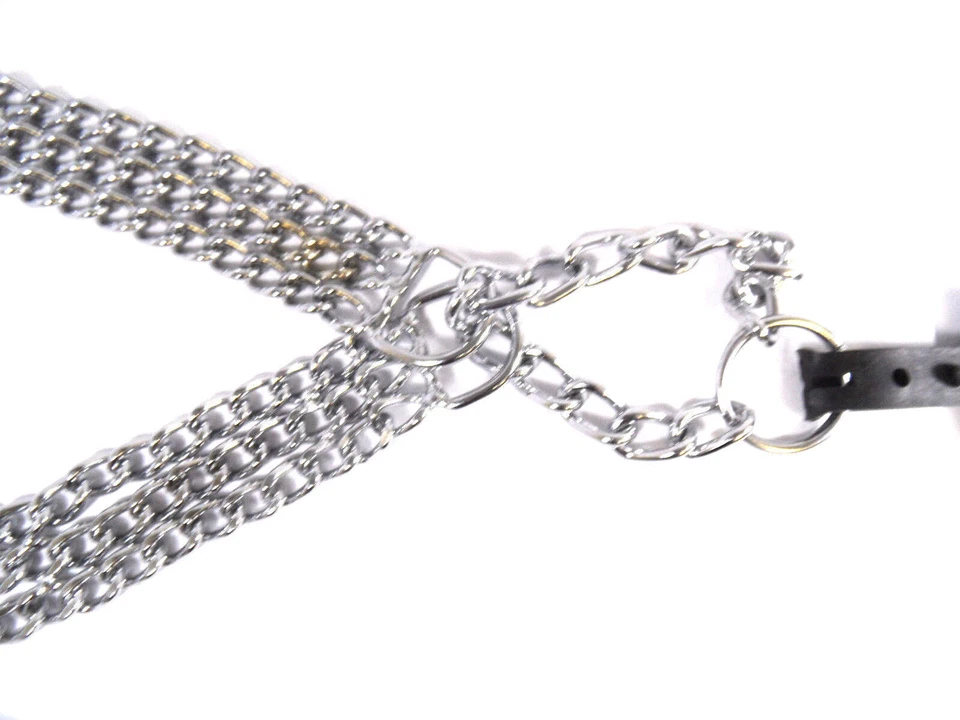 Fresh Dog&Cat Animale Domestico Collare Metallo/Argento Chain Labrador Recupero - Immagine 3 di 4