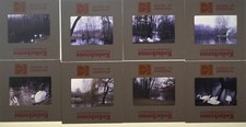 Lots Of 8 Kodachrome Transparencies Slides Lake From Berl n 1972