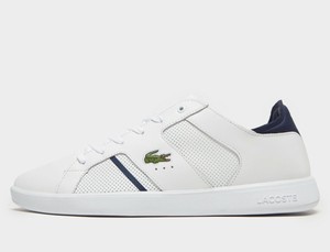 lacoste live varsity jacket