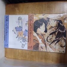 LD Laser Disc I'm Arrested And We Met Tokyo Typhoon Rally 2-disc set with full