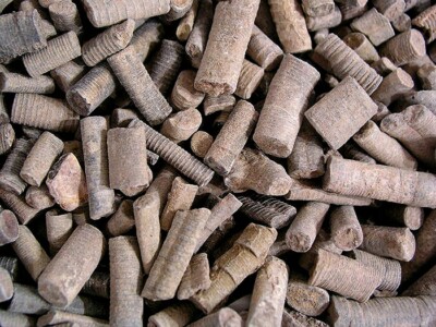 Crinoid stem fossils Devonian age 1/2 pound lot 10 plus pieces North Africa 