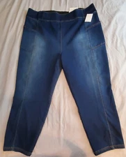 Westbound Woman 3X Reg High Rise Skinny Essential Legging Pull On Jeans NWT L469
