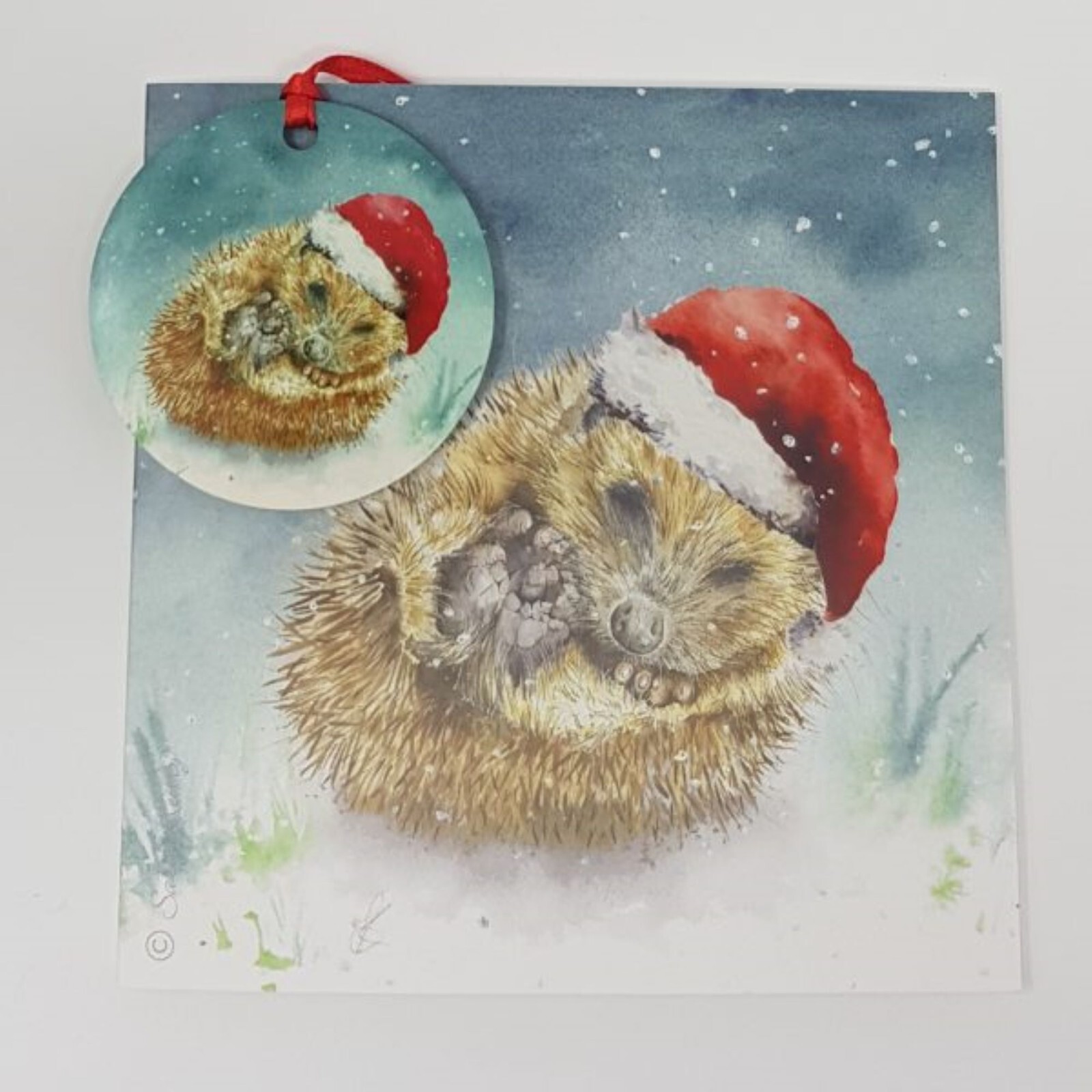 Dreaming of a White Christmas  Bauble Card Hedgehog Sarah Reilly Love Country.