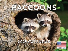 Raccoon Calendar 2025 Monthly Wall Calender 12 Month | American Made In The USA
