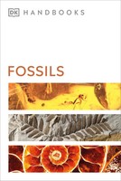 Fossils | DK (U. A.) | Taschenbuch | DK Handbooks | Kartoniert / Broschiert