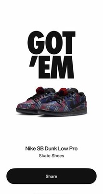 Nardwuar x Nike SB Dunk Low 2025 Men Size 12  II1493-600 Ship Now