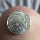 1 Oz Buffalo Silver Round Indian Head Round .999 Fine Silver