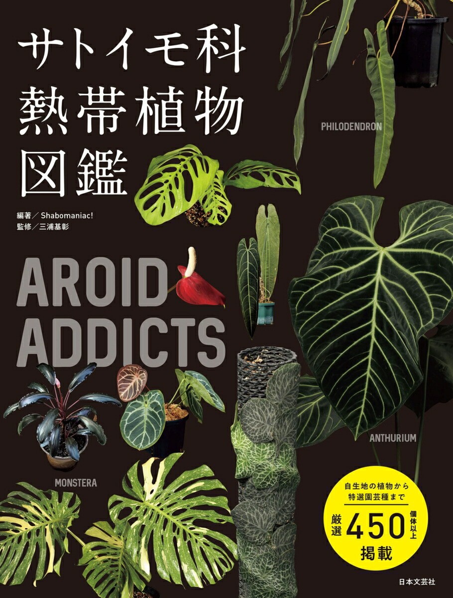 Aroid Addicts Tropical Plant Guide Discover Japan's Exotic