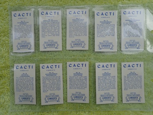 LAMBERTS OF NORWICH 1962 CACTI - Full Set 25 Trade Cards CAT £10 - Picture 5 of 7