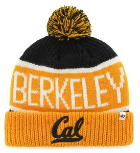 ski bear hat