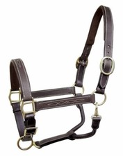 Derby Originals English Opulence Liverpool Fancy Stitch Padded Leather Halter
