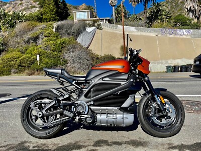 Harley Livewire Shorty Fender | eBay
