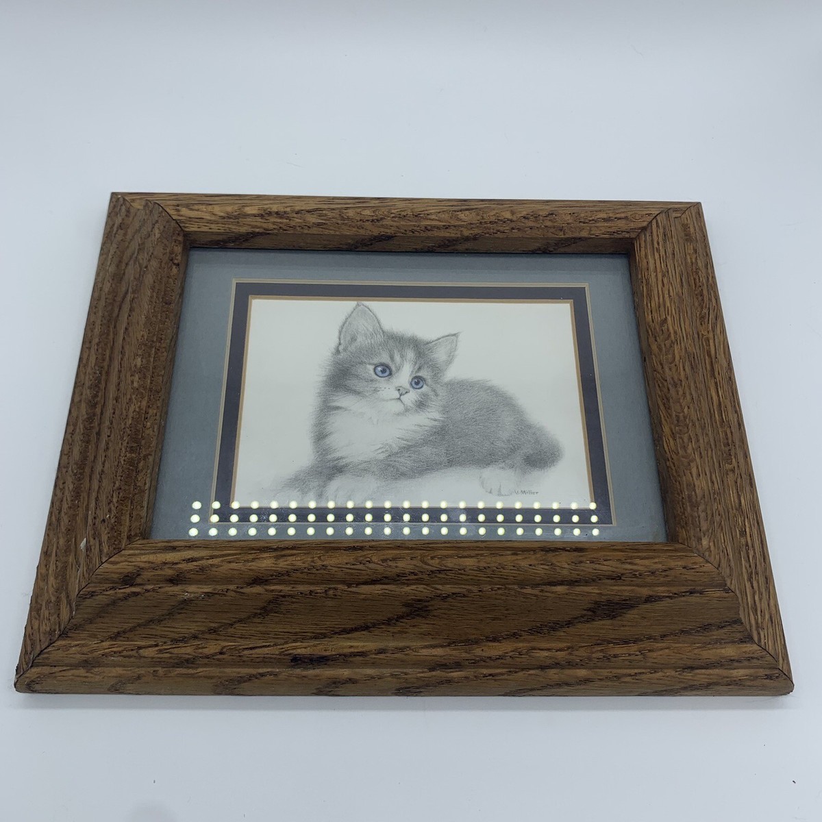 猫絵V.Miller Virginia V Miller Framed Blue Eye Kitten Kitty Cat
