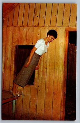 1950s Mystery Spot Optical Illusion St. Ignace MI Postcard