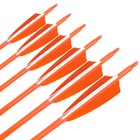 Afbeelding 20 van 22