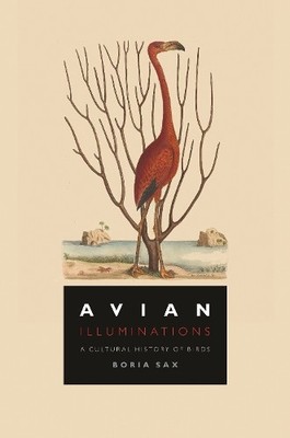 Avian Illuminations: A Cultural History of Birds by Boria Sax Hardback Book The