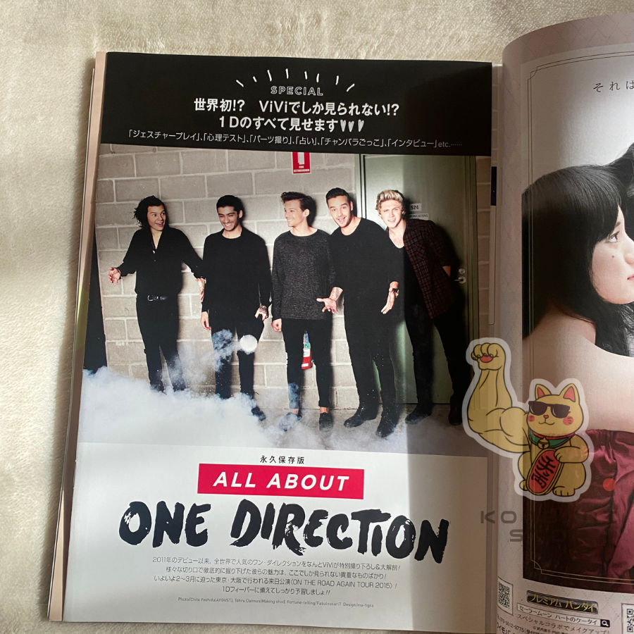 RARE Vivi Magazine Japan One Direction Liam Payne - Harry