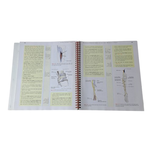 Grant'sDIssector 12th Edition EBERHARDT K. SAUERLAND Lippincott Spiral Bound - Imagen 7 de 8