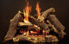 Empire Comfort Pioneer Vented Gas Log 24" Natural Gas BFM2124MTN