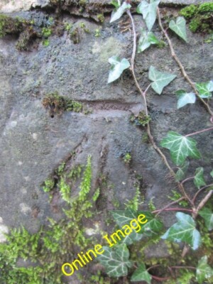 Foto 6x4 Ordnance Survey Schnittmarke Kreuzwege\/SO3220 Diese OS Schnittmarke Dose c2014
