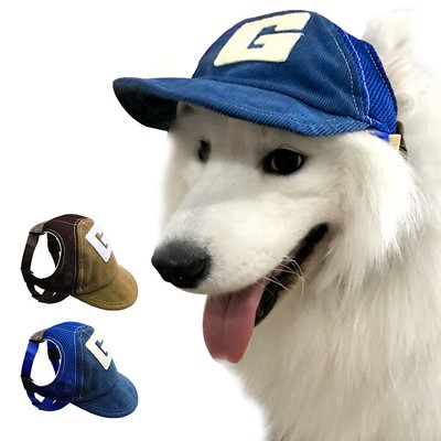 dog with baseball hat