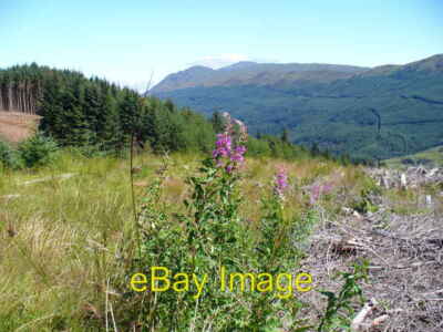 Foto 6x4 Ben Ledi über der Baumgrenze St Brautkapelle Dies ist auf der c2006