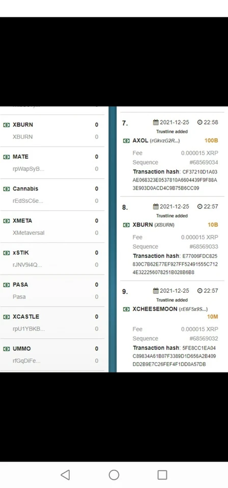 Xumm Private Key with 60XRP + 35 Trustlines for XRPL Airdrops - Bild 3 von 3