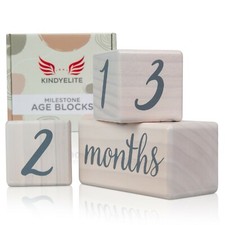 Milestone Block. Gender Neutral Baby Shower Gift, Milestone Age Blocks Nursery