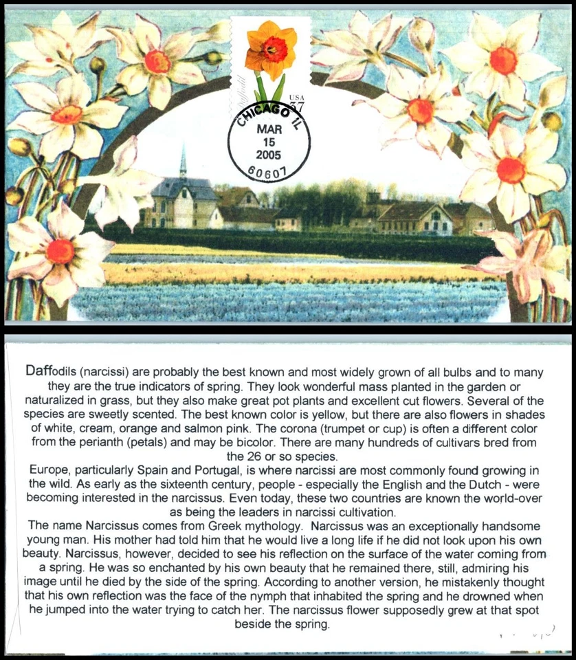 2005 Spring Flowers Sc 3900-3903 FDC PJW cachets tulip hyacinth iris daffodil - Image 3 of 4