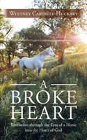 A Broke Heart Revelation Through The Eyes Of A Horse Into The Heart Of God Buch
