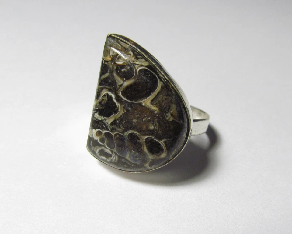 Anillo de plata ágata fósil Turritella genuino tamaño 9,0 TURR35 Foto 2 de 4