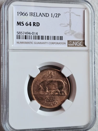 Ireland 1/2 Penny 1966 NGC MS 64 RD