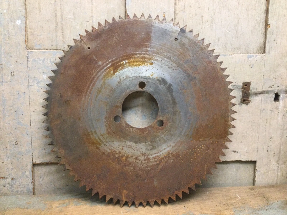 Buzz saw blade deals