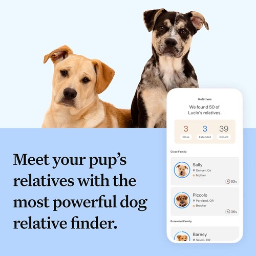 Wisdom Panel Breed Discovery Dog DNA Test Kit - Most Accurate Breed ID MDR1 Anc - Picture 5 of 6