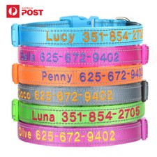 Personalized Reflective Dog Collar Custom Embroidered, Durable Night-Safe