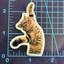 Stretching Tiger Kitty - Cat World - Vinyl Sticker Decal Sticker Bomb Humor Fun